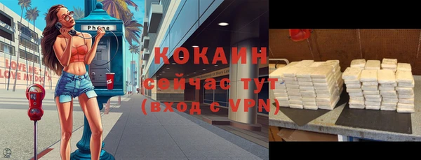 СК Осинники