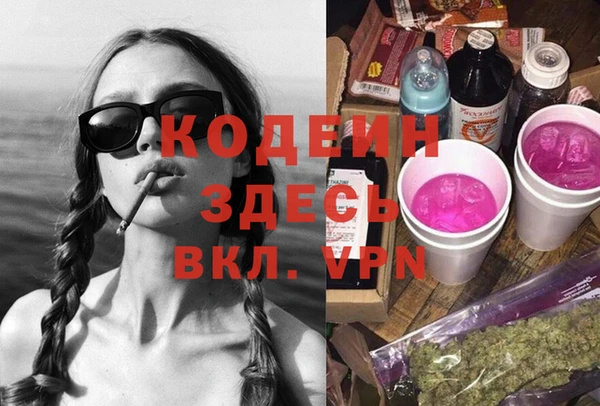 твердый Няндома